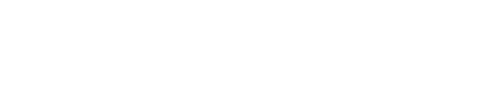 Medienvertrieb Riesa GmbH